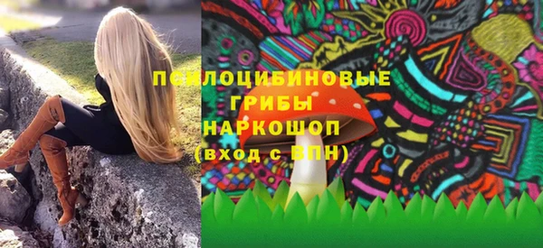 соль ск Краснослободск